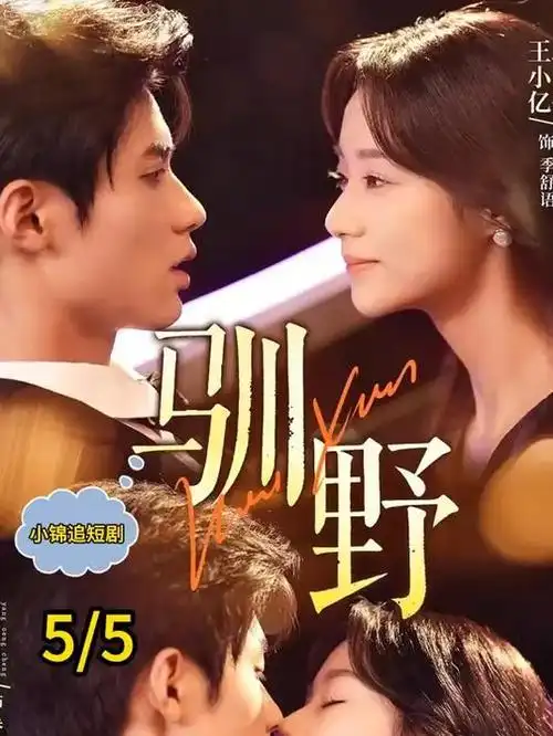 我的大叔